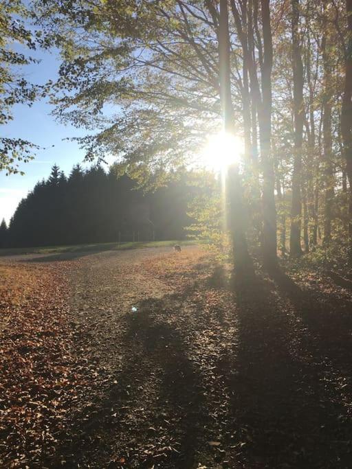 Sauerlandblick Daire Altena Dış mekan fotoğraf